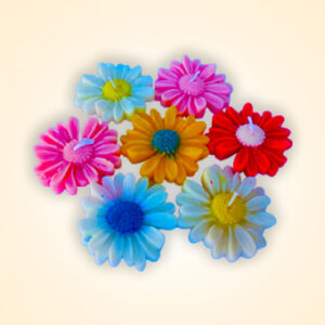 Daisy