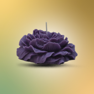 Big Rose Purple